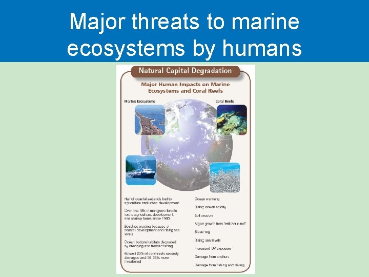 Major threats to marine ecosystems by humans 