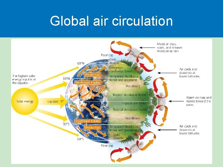 Global air circulation 