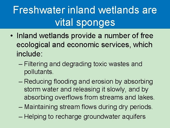 Freshwater inland wetlands are vital sponges • Inland wetlands provide a number of free