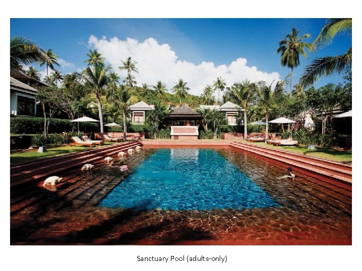 Sanctuary Pool (adults-only) 