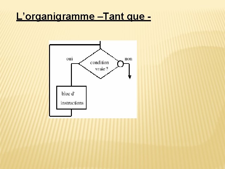 L’organigramme –Tant que - 