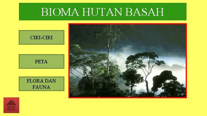 BIOMA HUTAN BASAH CIRI-CIRI PETA FLORA DAN FAUNA 