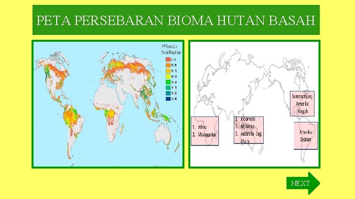 PETA PERSEBARAN BIOMA HUTAN BASAH NEXT 