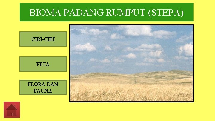 BIOMA PADANG RUMPUT (STEPA) CIRI-CIRI PETA FLORA DAN FAUNA 