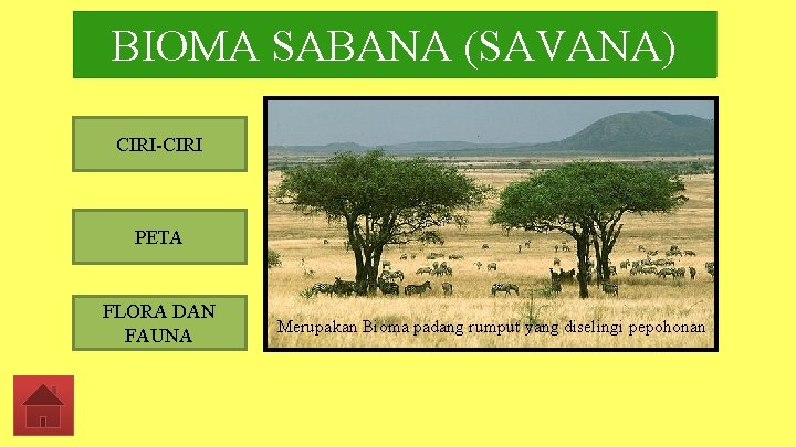 BIOMA SABANA (SAVANA) CIRI-CIRI PETA FLORA DAN FAUNA Merupakan Bioma padang rumput yang diselingi