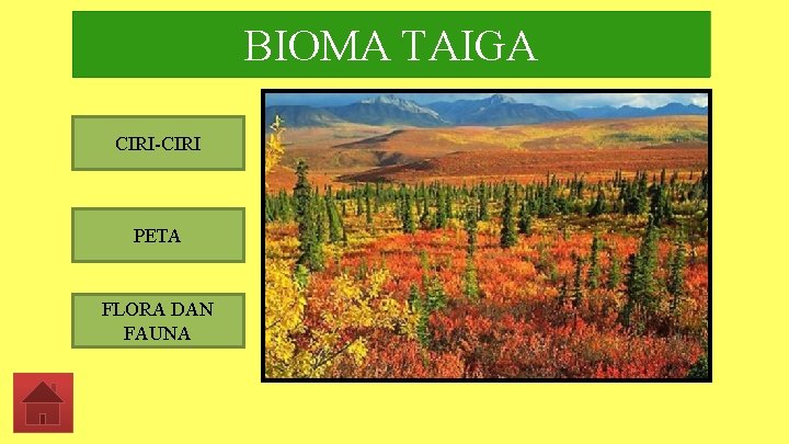 BIOMA TAIGA CIRI-CIRI PETA FLORA DAN FAUNA 