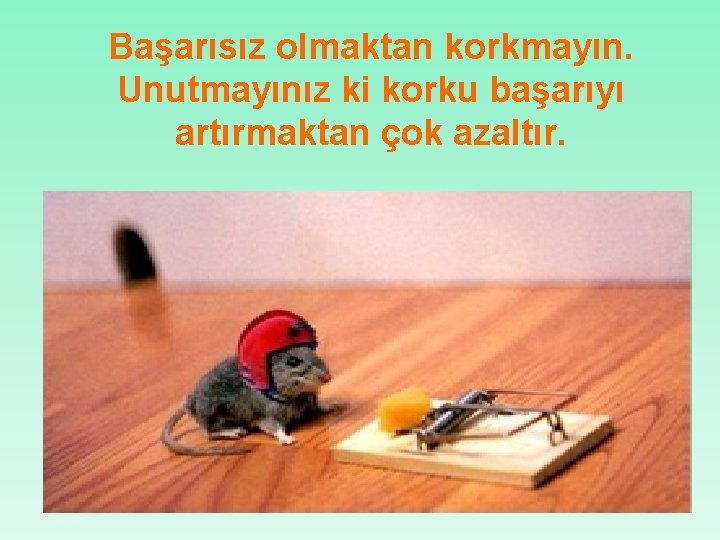 Başarısız olmaktan korkmayın. Unutmayınız ki korku başarıyı artırmaktan çok azaltır. 