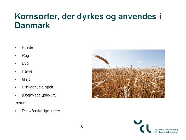 Kornsorter, der dyrkes og anvendes i Danmark • Hvede • Rug • Byg •