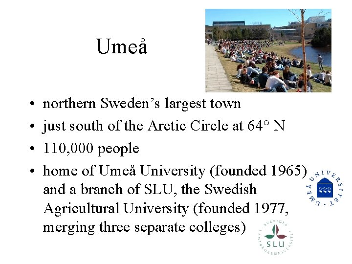 Umeå • • northern Sweden’s largest town just south of the Arctic Circle at