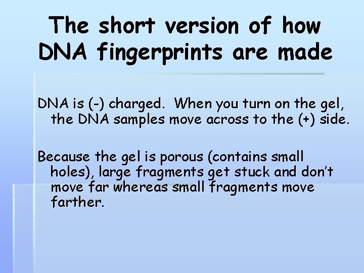 The short version of how DNA fingerprints are made DNA is (-) charged. When