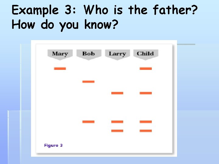 Example 3: Who is the father? How do you know? 