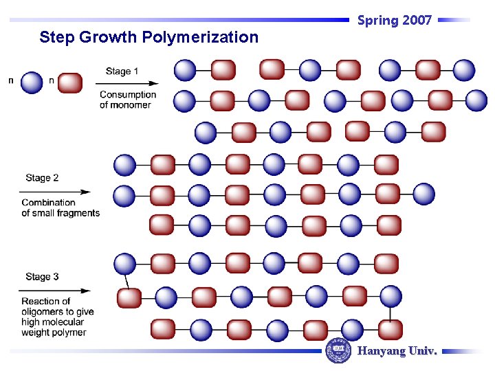 Spring 2007 Step Growth Polymerization Hanyang Univ. 