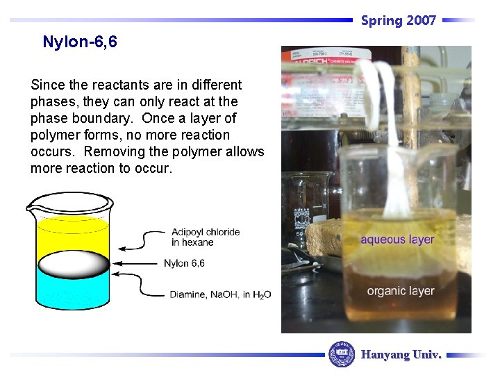 Spring 2007 Nylon-6, 6 Since the reactants are in different phases, they can only