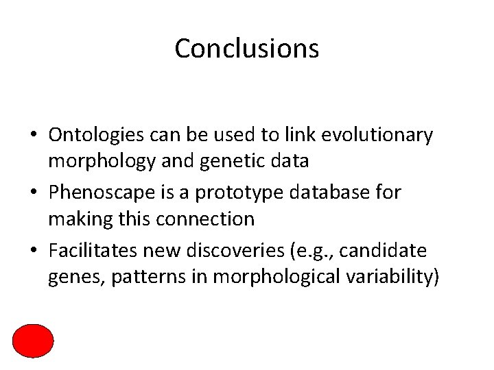 Conclusions • Ontologies can be used to link evolutionary morphology and genetic data •