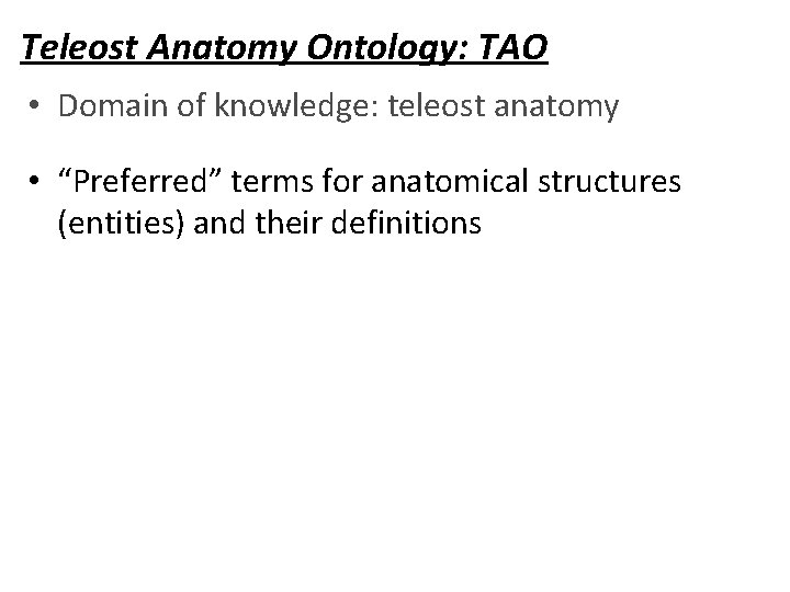 Teleost Anatomy Ontology: TAO • Domain of knowledge: teleost anatomy • “Preferred” terms for