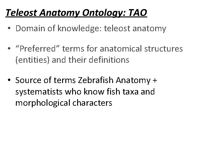 Teleost Anatomy Ontology: TAO • Domain of knowledge: teleost anatomy • “Preferred” terms for