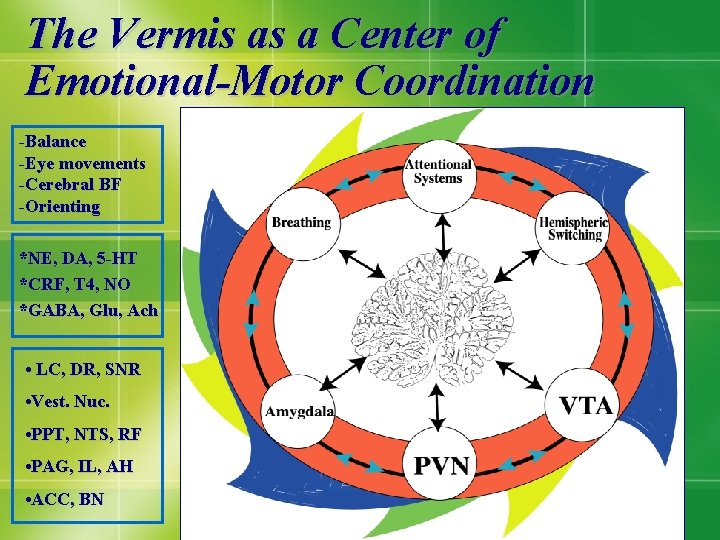 The Vermis as a Center of Emotional-Motor Coordination -Balance -Eye movements -Cerebral BF -Orienting