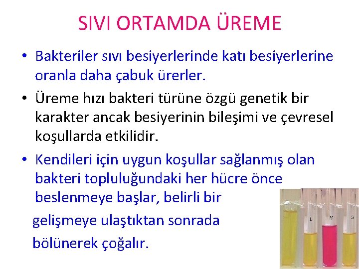 SIVI ORTAMDA ÜREME • Bakteriler sıvı besiyerlerinde katı besiyerlerine oranla daha çabuk ürerler. •