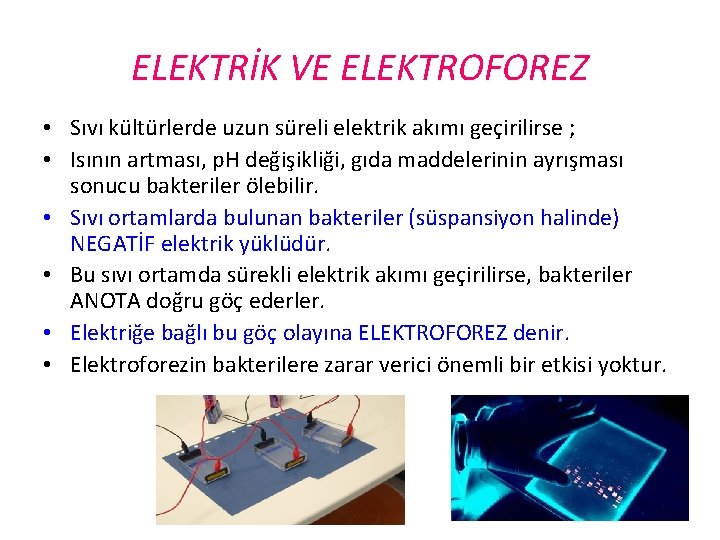 ELEKTRİK VE ELEKTROFOREZ • Sıvı kültürlerde uzun süreli elektrik akımı geçirilirse ; • Isının