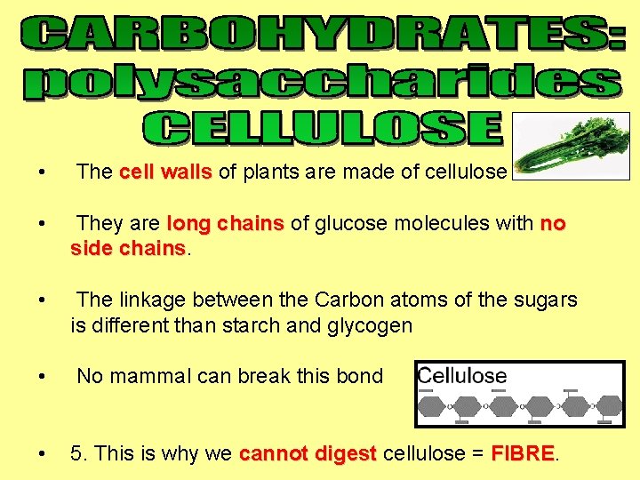  • The cell walls of plants are made of cellulose • They are