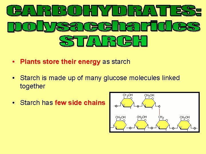  • Plants store their energy as starch • Starch is made up of