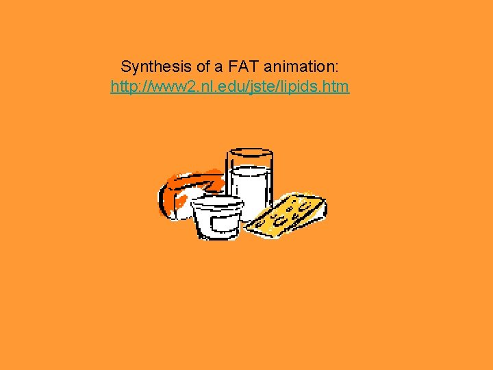 Synthesis of a FAT animation: http: //www 2. nl. edu/jste/lipids. htm 