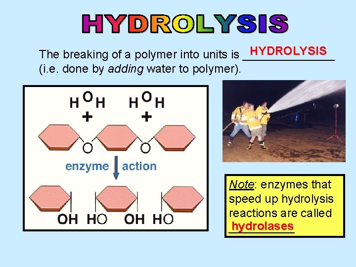 HYDROLYSIS The breaking of a polymer into units is _______ (i. e. done by