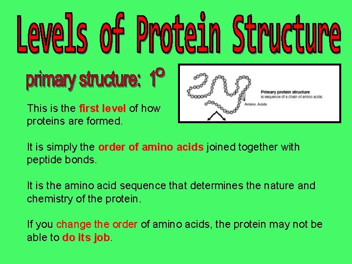 This is the first level of how proteins are formed. It is simply the