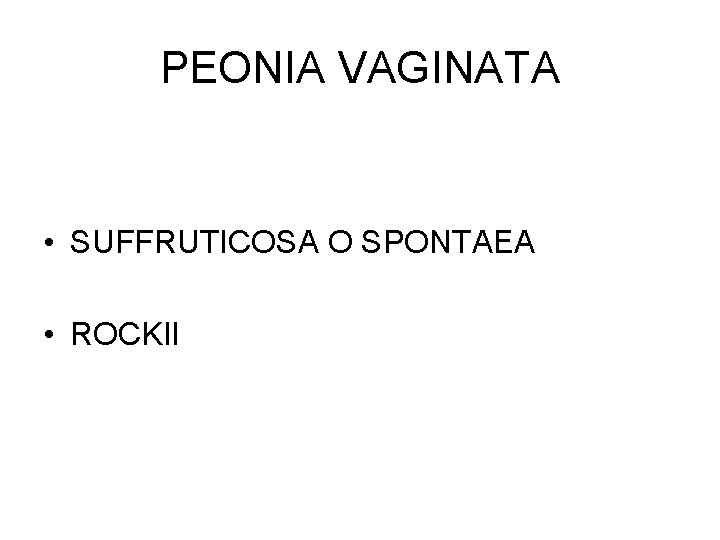 PEONIA VAGINATA • SUFFRUTICOSA O SPONTAEA • ROCKII 