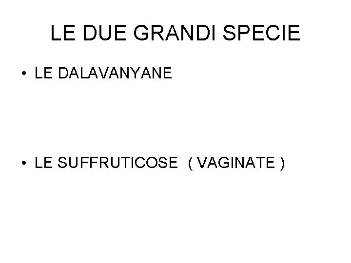 LE DUE GRANDI SPECIE • LE DALAVANYANE • LE SUFFRUTICOSE ( VAGINATE ) 