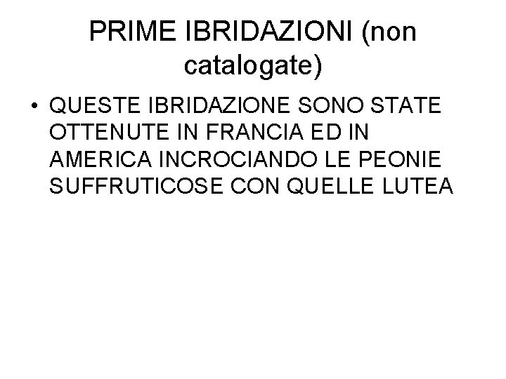 PRIME IBRIDAZIONI (non catalogate) • QUESTE IBRIDAZIONE SONO STATE OTTENUTE IN FRANCIA ED IN