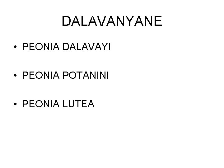 DALAVANYANE • PEONIA DALAVAYI • PEONIA POTANINI • PEONIA LUTEA 
