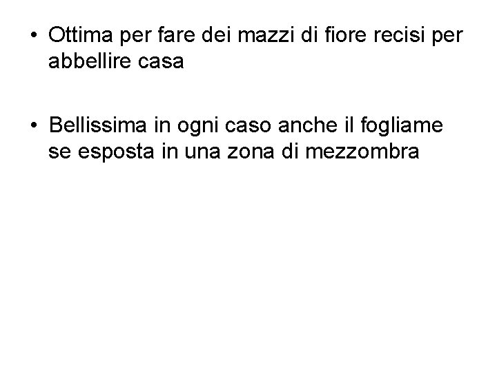  • Ottima per fare dei mazzi di fiore recisi per abbellire casa •