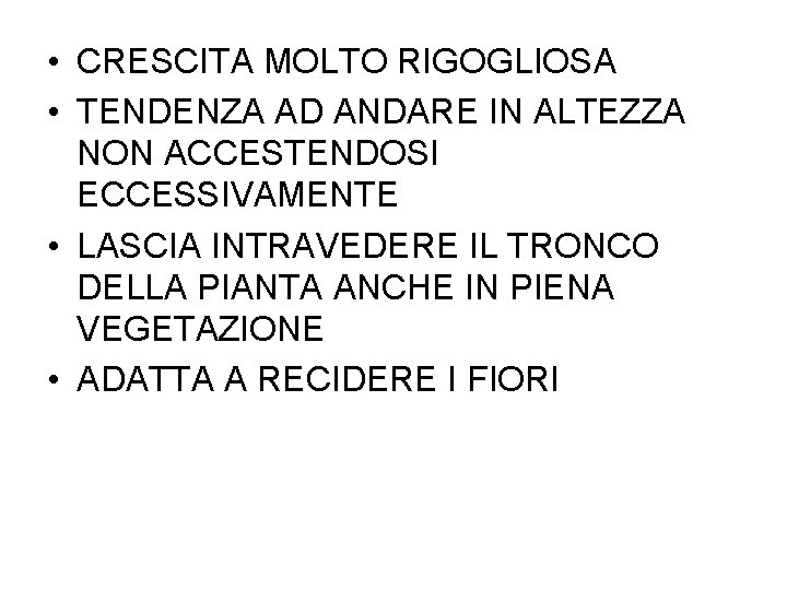 • CRESCITA MOLTO RIGOGLIOSA • TENDENZA AD ANDARE IN ALTEZZA NON ACCESTENDOSI ECCESSIVAMENTE