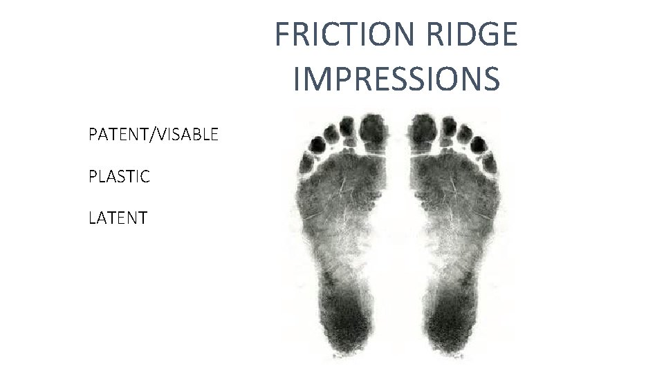 FRICTION RIDGE IMPRESSIONS PATENT/VISABLE PLASTIC LATENT 