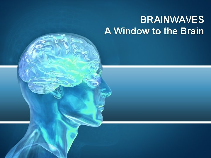 BRAINWAVES A Window to the Brain 