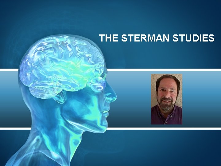 THE STERMAN STUDIES 