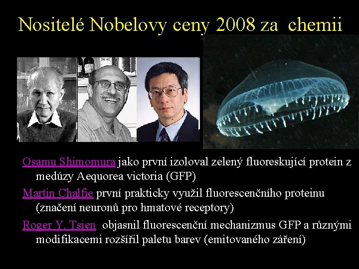 Nositelé Nobelovy ceny 2008 za chemii Osamu Shimomura jako první izoloval zelený fluoreskující protein