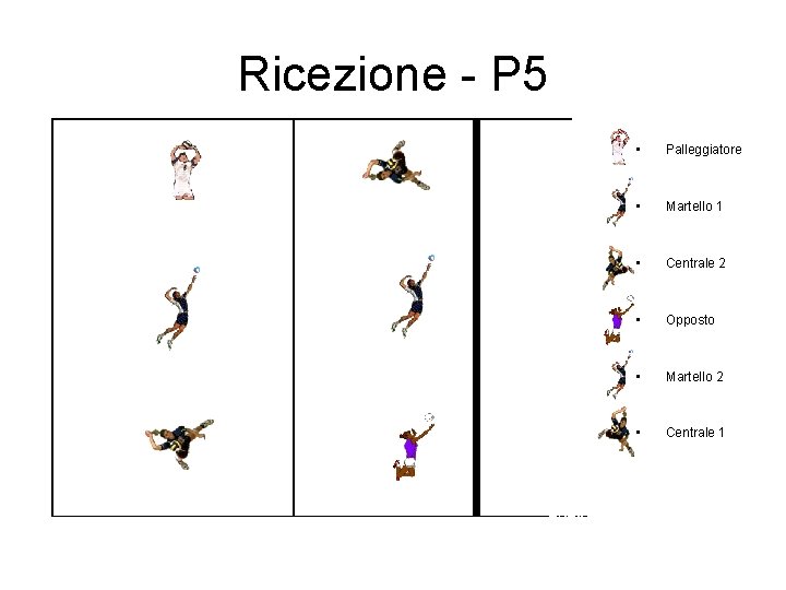 Ricezione - P 5 • Palleggiatore • Martello 1 • Centrale 2 • Opposto Ricezione - P 5 • Palleggiatore • Martello 1 • Centrale 2 • Opposto