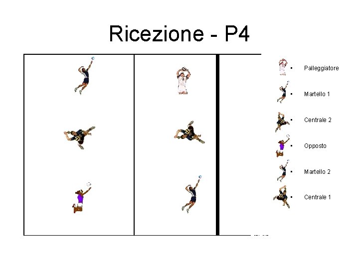 Ricezione - P 4 • Palleggiatore • Martello 1 • Centrale 2 • Opposto Ricezione - P 4 • Palleggiatore • Martello 1 • Centrale 2 • Opposto