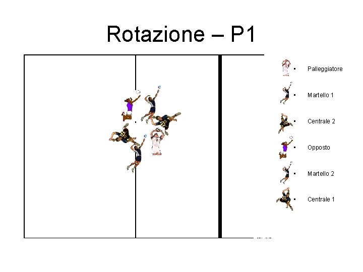 Rotazione – P 1 • Palleggiatore • Martello 1 • Centrale 2 • Opposto Rotazione – P 1 • Palleggiatore • Martello 1 • Centrale 2 • Opposto