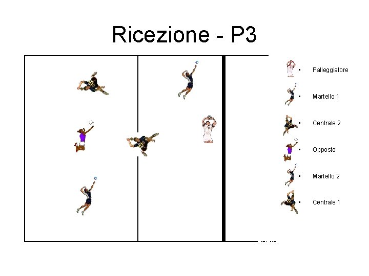 Ricezione - P 3 • Palleggiatore • Martello 1 • Centrale 2 • Opposto Ricezione - P 3 • Palleggiatore • Martello 1 • Centrale 2 • Opposto