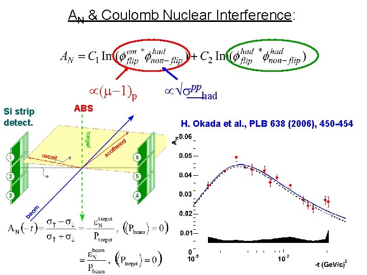 AN & Coulomb Nuclear Interference: µ(m 1)p Si strip detect. µÖ pphad ABS H.