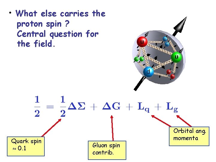  • What else carries the proton spin ? Central question for the field.