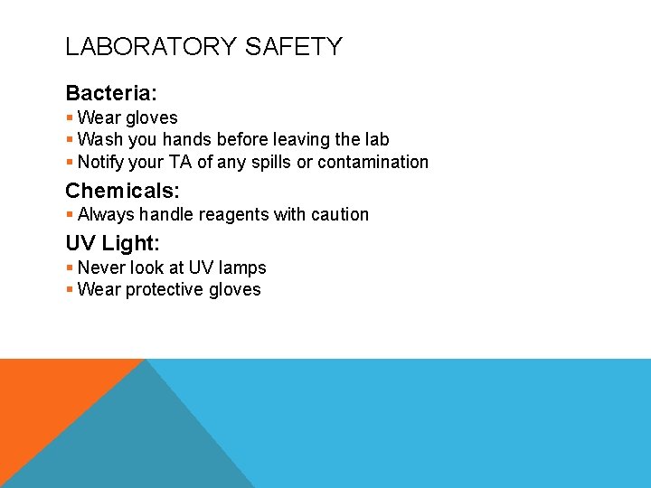 LABORATORY SAFETY Bacteria: § Wear gloves § Wash you hands before leaving the lab