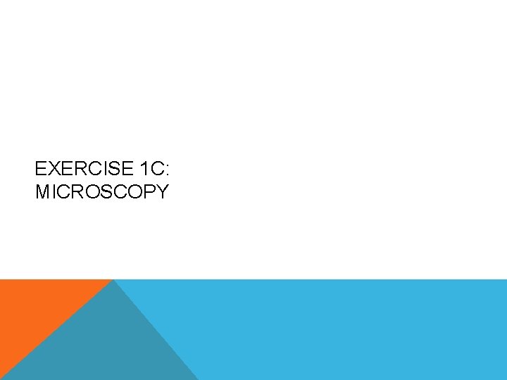 EXERCISE 1 C: MICROSCOPY 