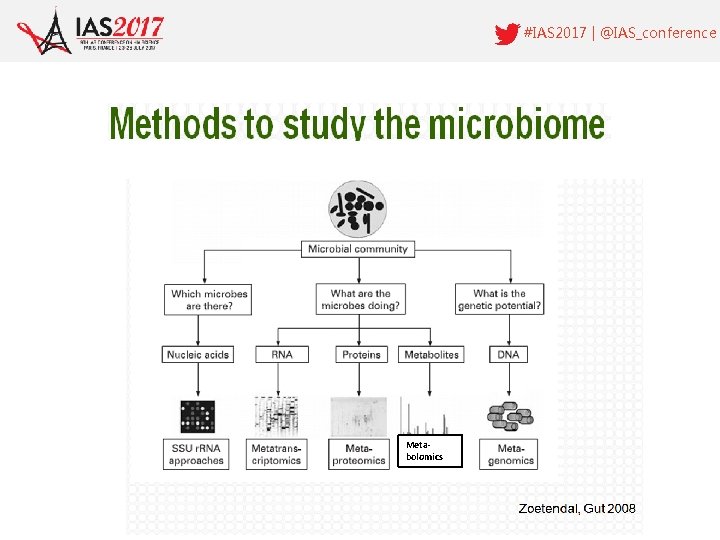 #IAS 2017 | @IAS_conference Metabolomics 