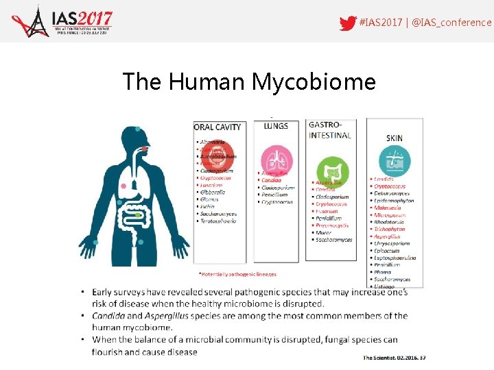 #IAS 2017 | @IAS_conference The Human Mycobiome 