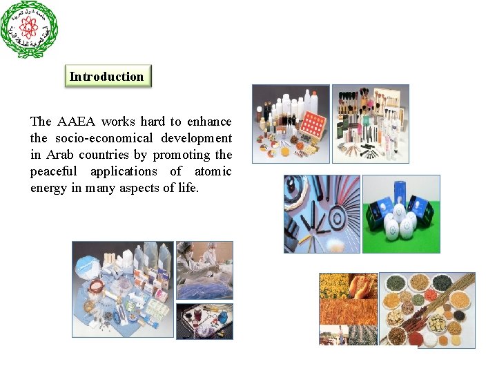 Introduction The AAEA works hard to enhance the socio-economical development in Arab countries by