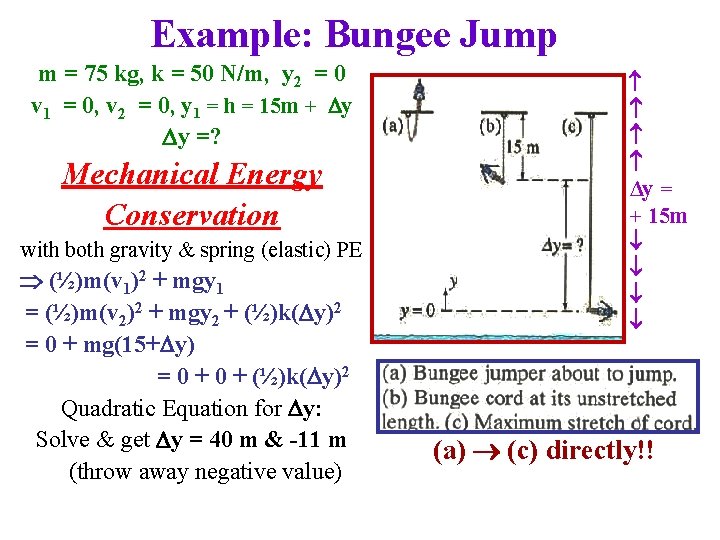 Example: Bungee Jump m = 75 kg, k = 50 N/m, y 2 =
